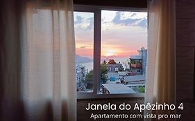 Apêzinho Vidigal - RJ